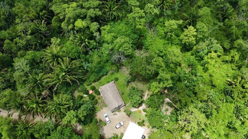 listing image with ID 68272