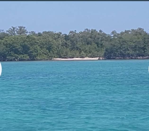 listing image with ID 67060