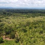 listing image thumbnail with ID 64223