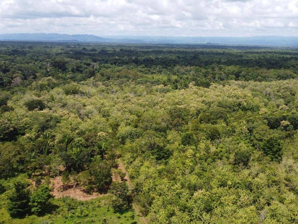 listing image with ID 64223