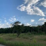 listing image thumbnail with ID 65026