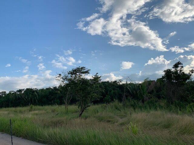 listing image with ID 65026