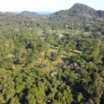 listing image thumbnail with ID 66099