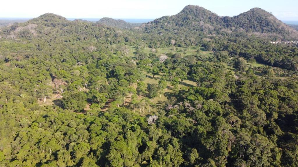 listing image with ID 66099