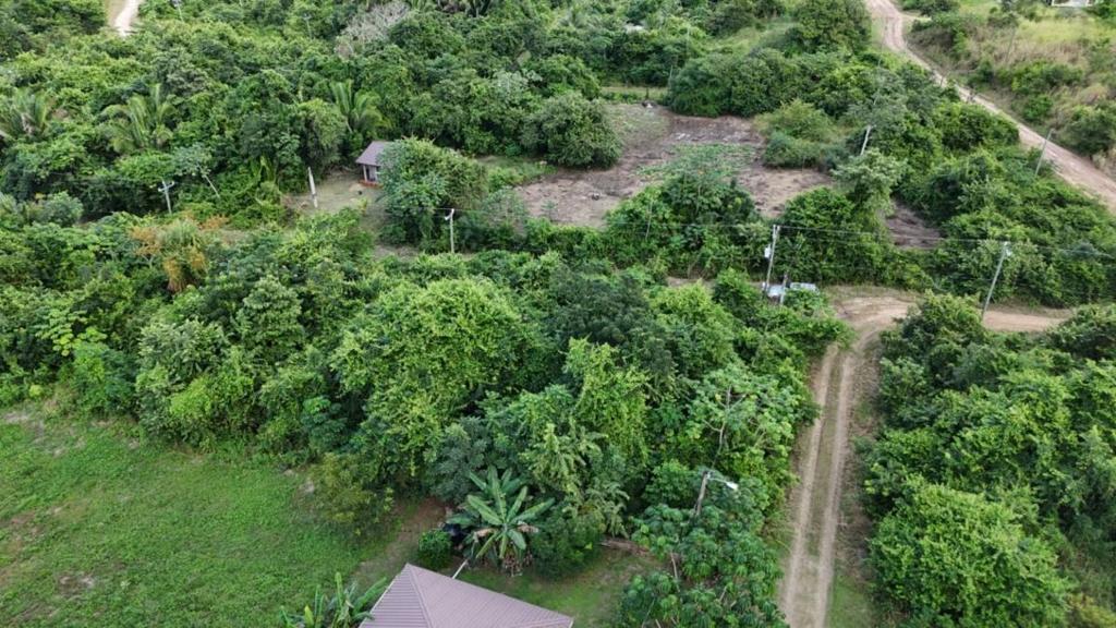 listing image with ID 68216