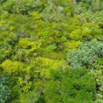 listing image thumbnail with ID 65335