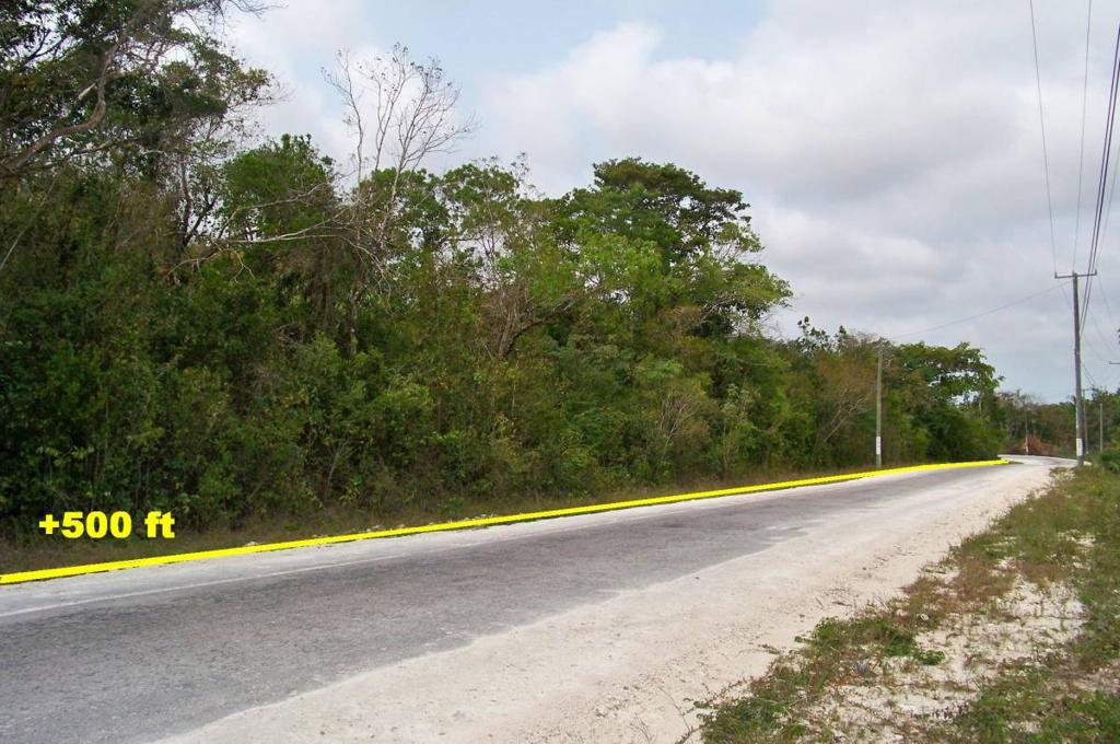 listing image with ID 67298