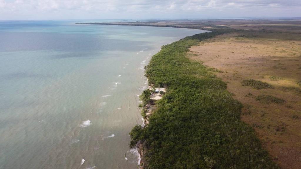 listing image with ID 64018