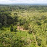 listing image thumbnail with ID 64231