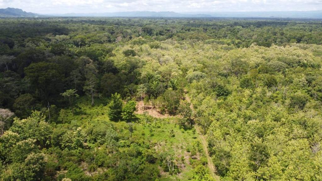 listing image with ID 64231