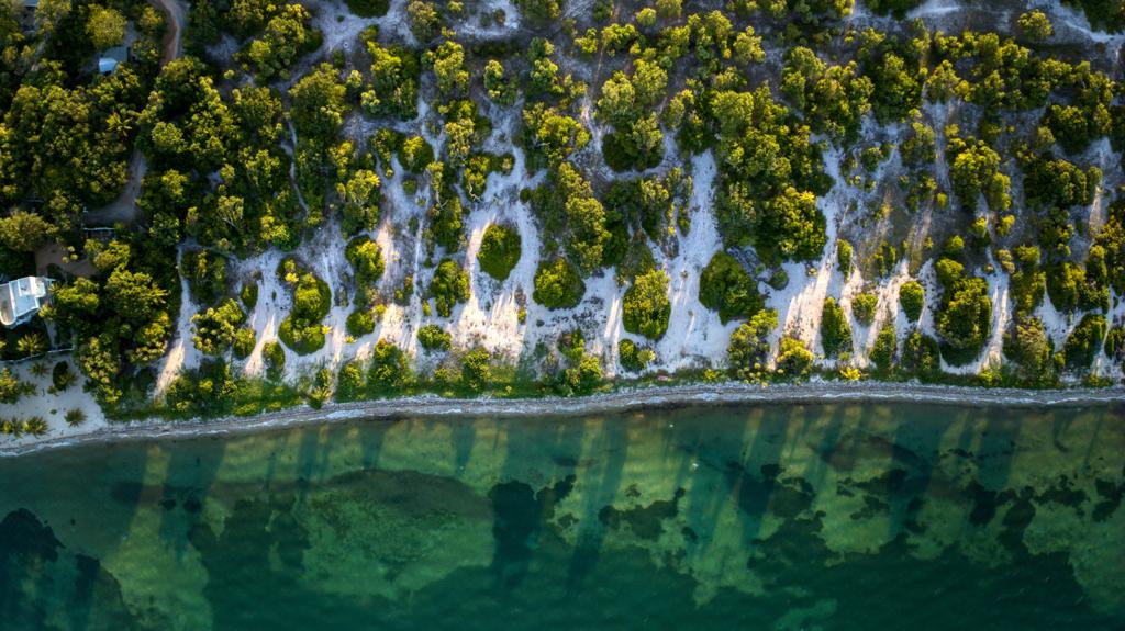 listing image with ID 68729