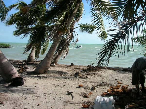 listing image with ID 68099