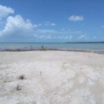 listing image thumbnail with ID 64416