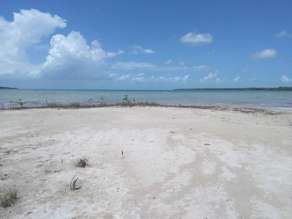 listing image with ID 64416