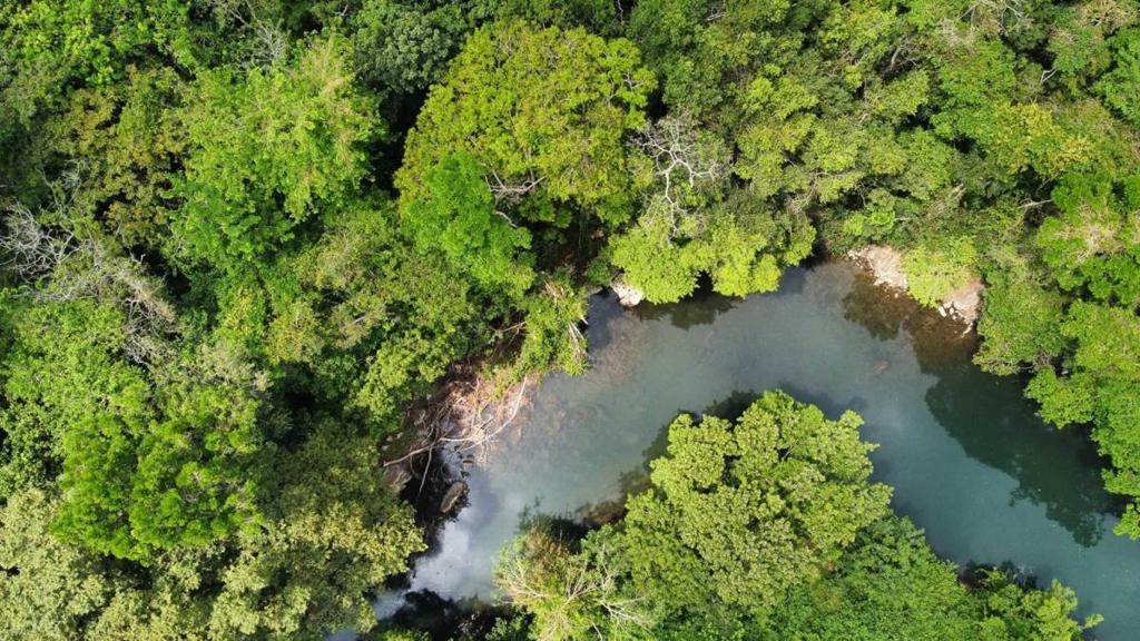 listing image with ID 64851