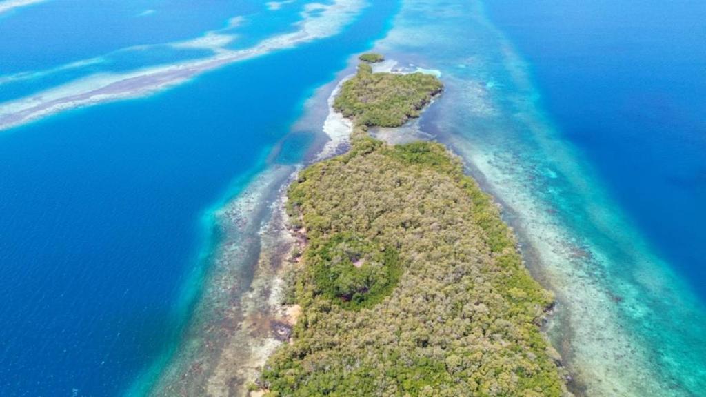 listing image with ID 65855