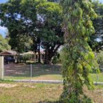 listing image thumbnail with ID 65584