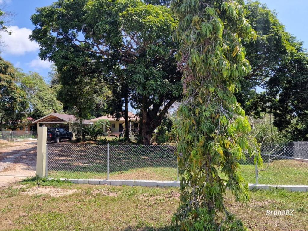 listing image with ID 65584