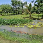 listing image thumbnail with ID 67904