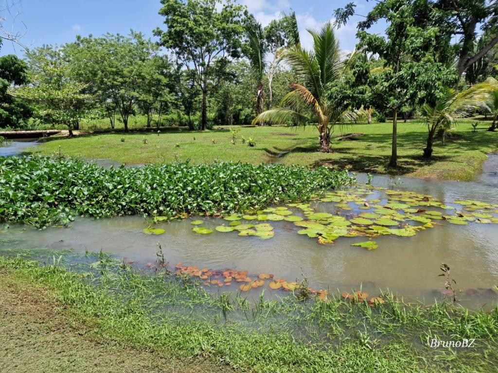 listing image with ID 67904