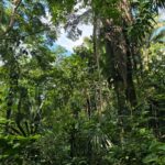 listing image thumbnail with ID 65460