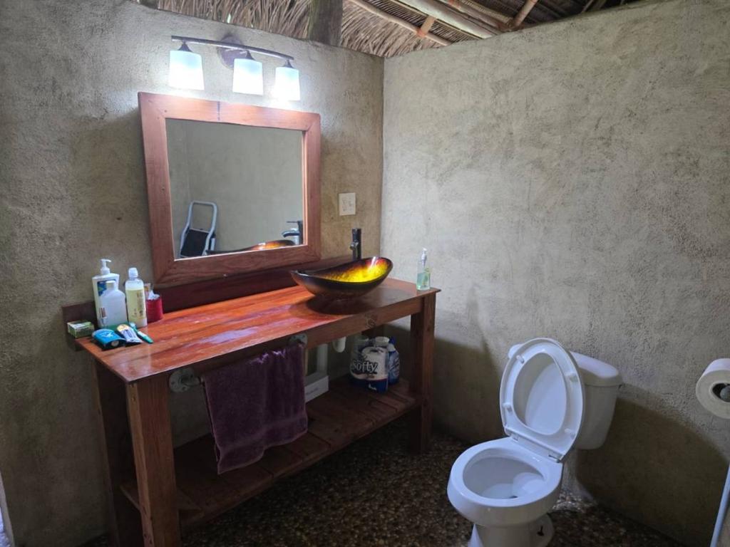 listing image with ID 68279