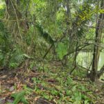 listing image thumbnail with ID 65224