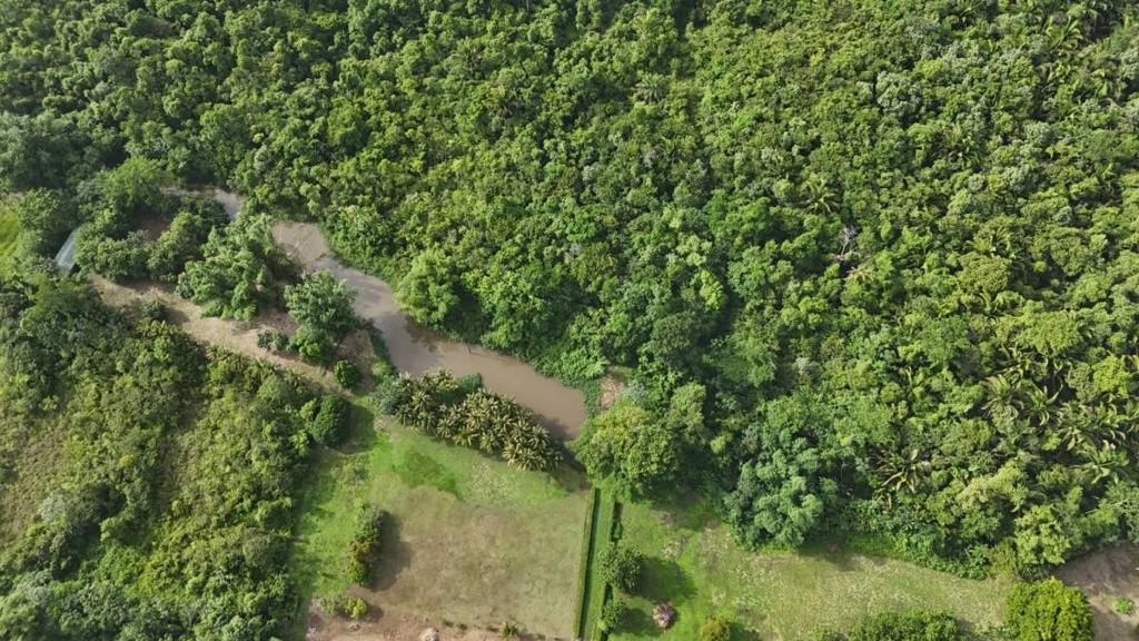 listing image with ID 65414