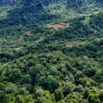 listing image thumbnail with ID 63931