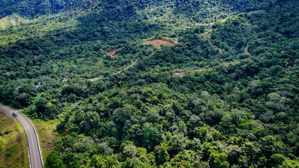 listing image with ID 63931