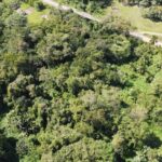 listing image thumbnail with ID 64245