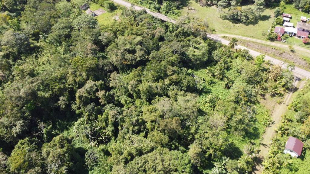 listing image with ID 64245