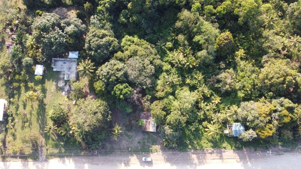 listing image with ID 66094