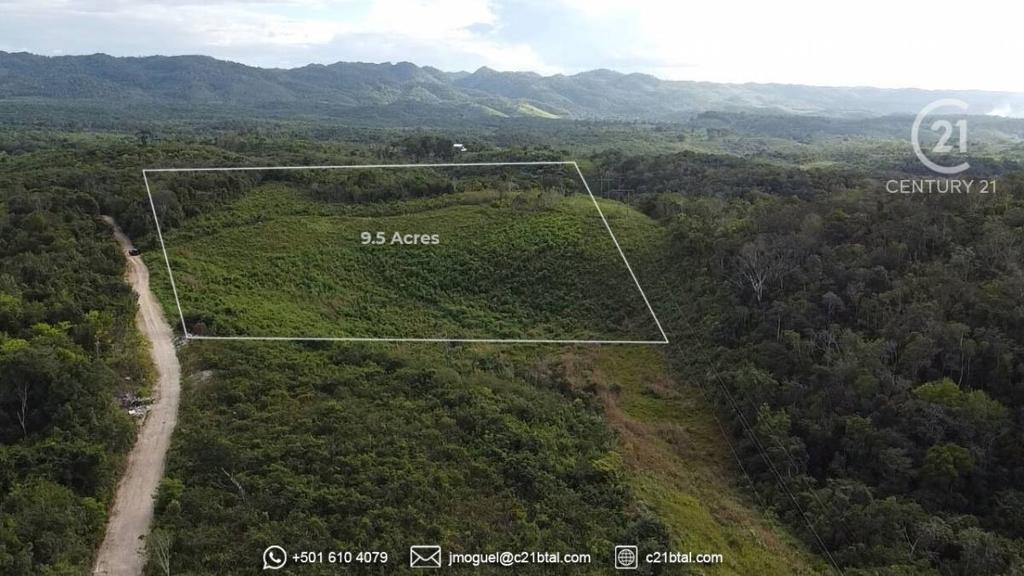 listing image with ID 66406