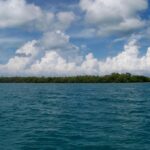 listing image thumbnail with ID 65402