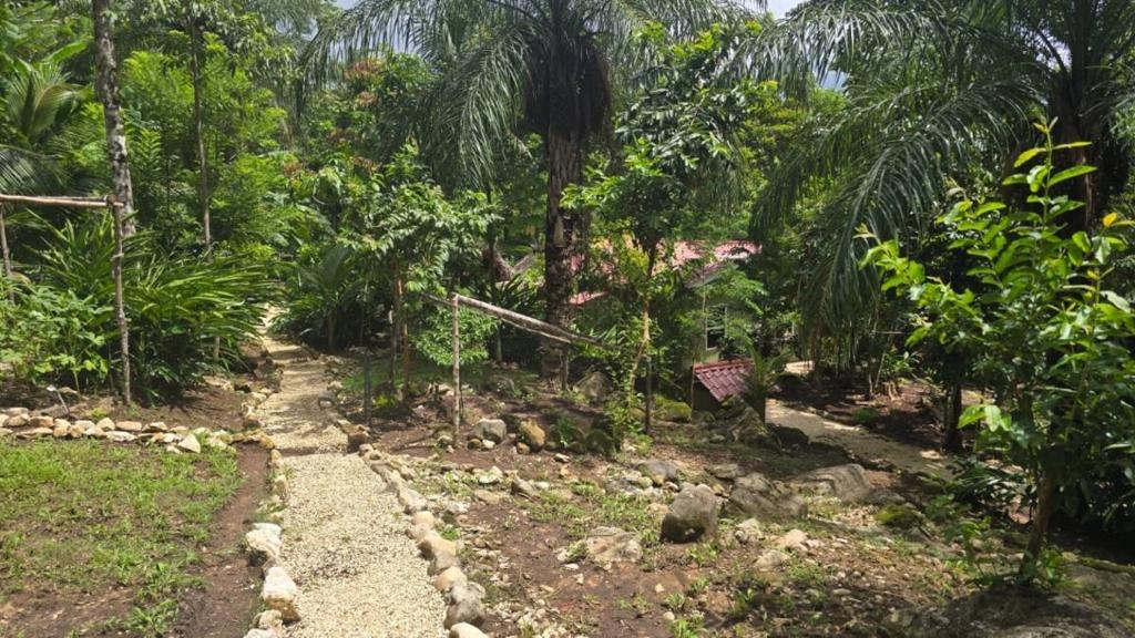 listing image with ID 65880