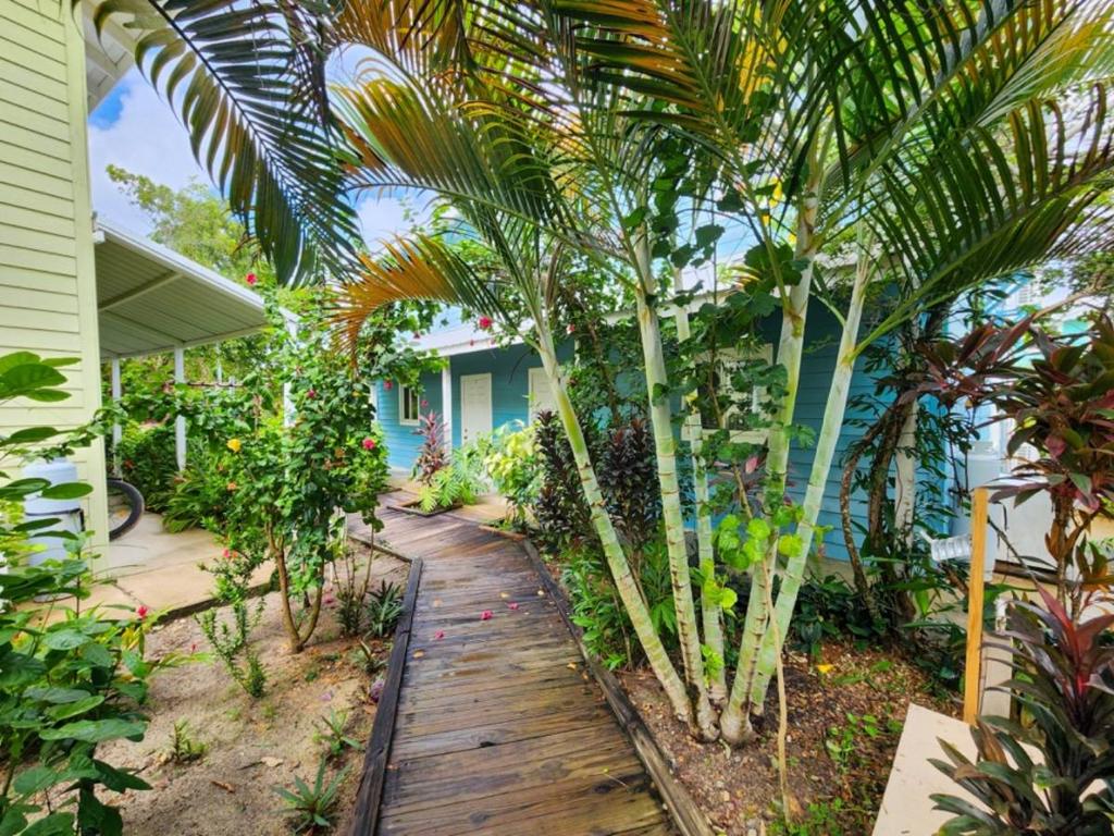 listing image with ID 67423