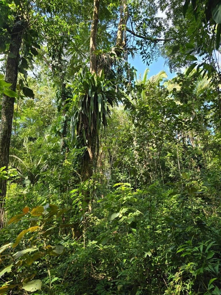 listing image with ID 65450