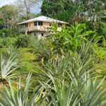 listing image thumbnail with ID 67360