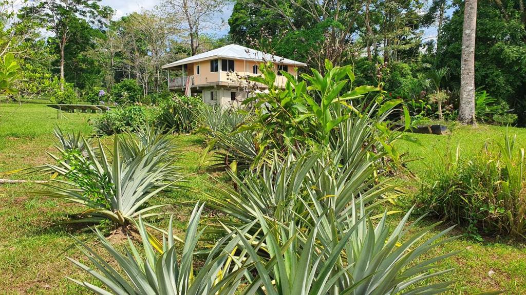 listing image with ID 67360