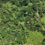 listing image thumbnail with ID 65218