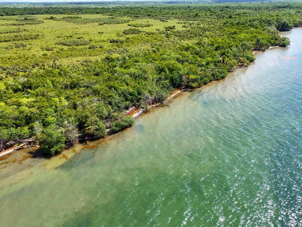 listing image with ID 63744