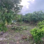 listing image thumbnail with ID 66516