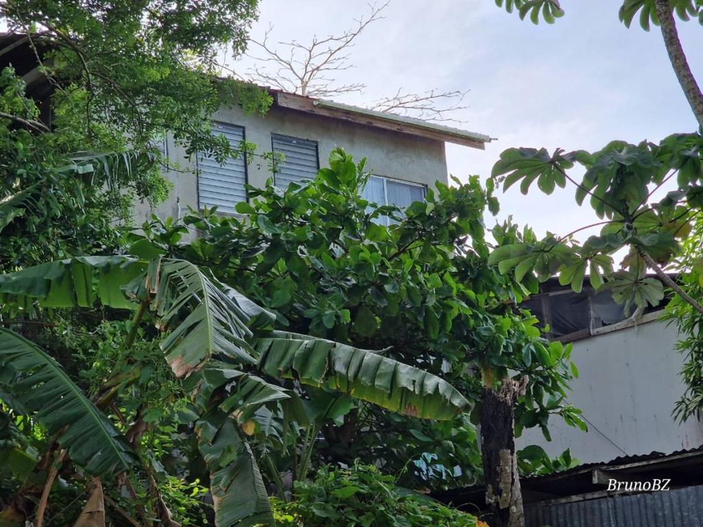 listing image with ID 64090