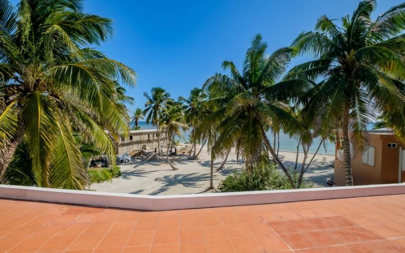 listing image with ID 68971