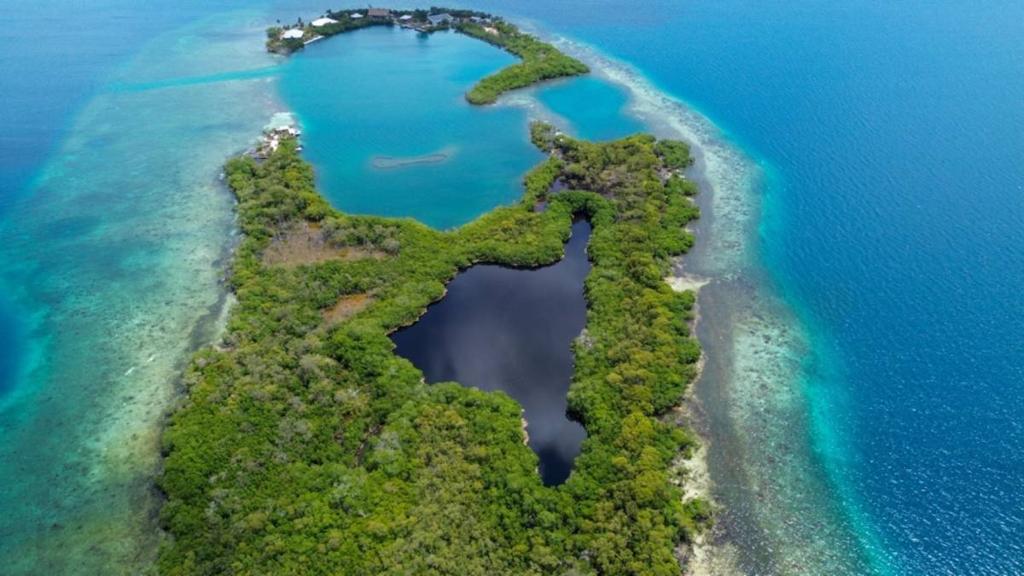 listing image with ID 66861