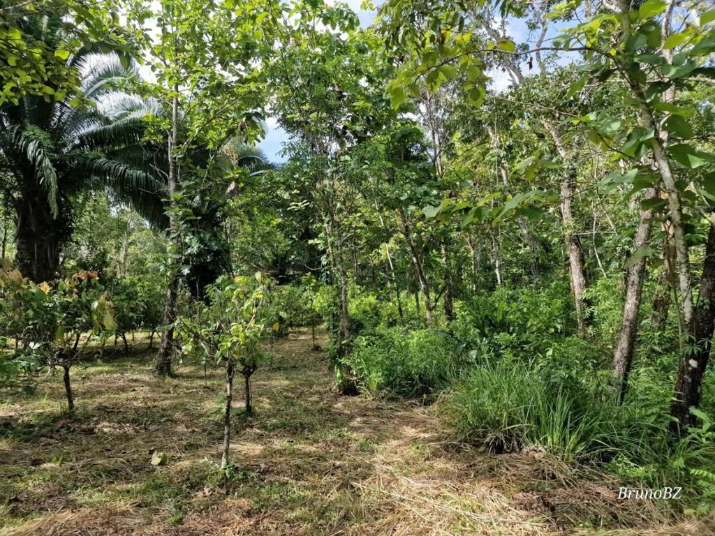 listing image with ID 64200