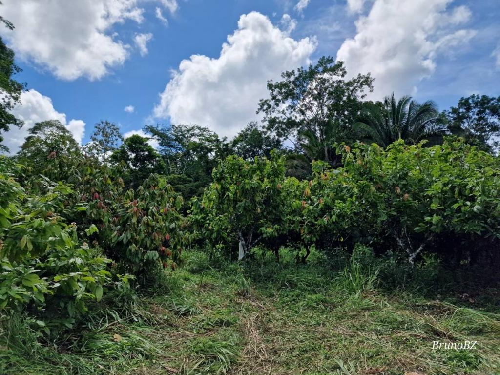 listing image with ID 64207