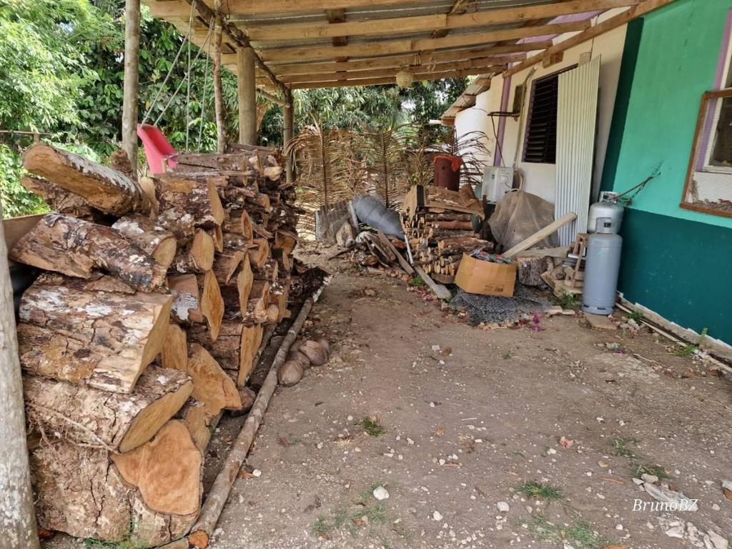 listing image with ID 67997