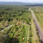 listing image thumbnail with ID 64981